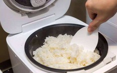 Cắm nồi cơm điện giữ ấm cơm cả ngày: Thói quen nhiều gia đình Việt đang làm tiềm ẩn nguy cơ sức khỏe