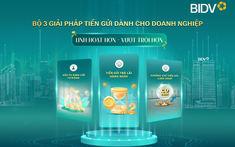 BIDV cung cấp giải pháp tiền gửi vượt trội cho doanh nghiệp