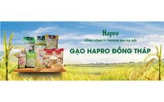 Gạo Hapro Đồng Tháp – Nâng tầm "hạt ngọc" Việt