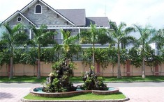 4 loại cây người xưa ưu tiên trồng trước nhà: Hóa ra đều có lý do