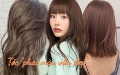Nhuộm tóc đừng chọn đại: 8 màu “phai vẫn đẹp” đang hot nhất 2026