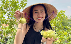 Mỹ nhân Việt làm chủ 3 công ty, sống trong nhà phố 100m2, sân thượng trồng gì mà lúc nào cũng trĩu quả?