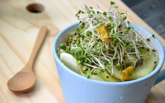 "Siêu thực phẩm" chống ung thư mạnh gấp 100 lần bông cải xanh: Ăn được chỉ sau 7 ngày tự trồng tại nhà
