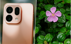 Đắm mình giữa không gian xanh của Vườn Bách thảo Singapore với OPPO Find X9s trên tay: Thì ra bình yên là đây