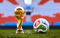 Cơ quan Liên Hợp Quốc cảnh báo đến tất cả người xem World Cup 2026