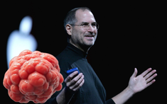 Steve Jobs qua đời vì bệnh gì?