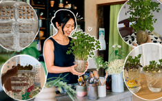 Tôi đã thử ngâm vài hạt đậu phộng trong nước suốt 15 ngày và bất ngờ nhận được một “khu rừng mini” xanh mát: Không tốn tiền mua cây mà vẫn có góc thư giãn cực chữa lành
