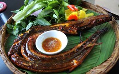 Loại cá có tên "hờn cả thế giới", trả cao nhiều ngư dân vẫn không bán: Siêu giàu omega-3, thịt cực ngọt và thơm ngon