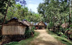 Ta Lai Experience: Mô hình sinh thái cộng đồng thành du lịch bền vững tầm khu vực