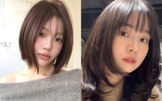 8 màu nhuộm hot nhất 2026: Che tóc bạc khéo léo, xuống màu không bị vàng