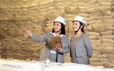 Chủ tịch AgriS hoàn tất mua vào gần 43 triệu cổ phiếu, bước chuyển giao cho chu kỳ tăng trưởng mới