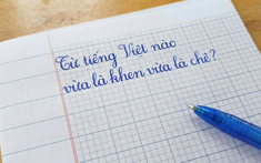 Trong tiếng Việt có một từ vừa là khen ngợi vừa là chê bai