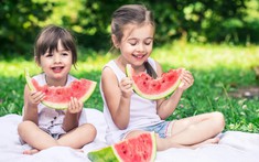 Mùa picnic đến rồi: Tránh ngay 6 sai lầm khiến thực phẩm nhanh biến thành "ổ vi khuẩn" dưới trời nắng nóng