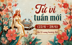 Tử vi tuần mới (22/6 - 28/6): 3 chòm sao bứt phá ngoạn mục, công việc lên hương, tình duyên nở rộ