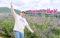 Pink Valley: Thung lũng đẹp như cổ tích ở Đà Lạt khiến giới trẻ mê mẩn chỉ với 120.000 đồng