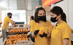 Phú Thọ: Phát triển sản phẩm OCOP theo hướng lan tỏa giá trị văn hóa vùng Đất tổ