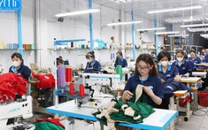 Đồng phục Zumi mở rộng quy mô sau hơn một thập kỷ phát triển