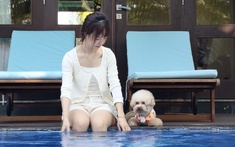 Khi “boss” cũng cần một kỳ nghỉ: Duyên Hà Resort Cam Ranh và trải nghiệm Pet Friendly giữa Bãi Dài