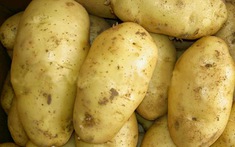 Cô hàng xóm của tôi đã giảm 6kg trong 2 tháng nhờ ăn khoai tây vào bữa sáng
