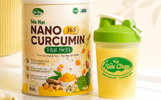 Sữa hạt Nano Curcumin Hạt Sen 365 đạt giải Thương hiệu Vàng – Chất lượng quốc tế 2026
