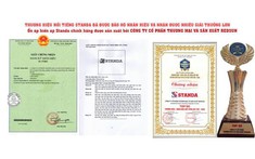 STANDA - giải pháp ổn định điện đem lại sự an toàn tiết kiệm khi dùng điện
