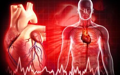 Mỡ máu cao – "kẻ thù thầm lặng" không gõ cửa báo trước