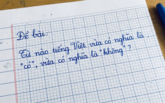 Trong tiếng Việt có một từ vừa là có vừa là không