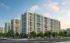 Vingroup phát triển 4.500 căn nhà ở cho thuê tại thành phố Hồ Chí Minh
