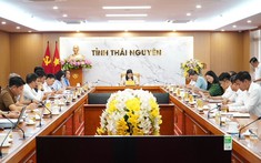 Rà soát công tác chuẩn bị tổ chức Festival Trà Quốc tế - Thái Nguyên năm 2026
