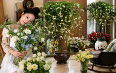 Một chậu hoa nhài rủ khiến cả phòng khách "lột xác": Hương thơm dễ chịu đến mức cả nhà đều mong được về sớm