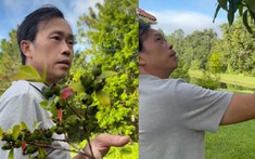 Nửa sau cuộc đời của NSƯT Hoài Linh