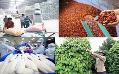 Xuất khẩu nông lâm thủy sản từ 70 đến 100 tỷ USD: Cần những bước đột phá mới