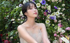 IU đã căng đến mức đệ đơn lên Tòa án Liên bang Mỹ
