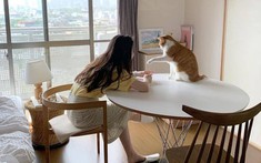 Sai lầm đầu tiên khi thuê nhà