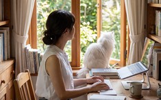 Người có tiền có thuê nhà không?