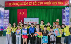Lan tỏa giá trị nhân văn từ chiến dịch " Mùa hè xanh" năm 2026