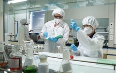 Bảo đảm an toàn trong sản xuất, lưu thông chế phẩm diệt côn trùng, diệt khuẩn