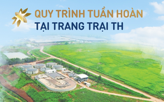 Vòng đời khép kín của chất thải tại Cụm trang trại bò sữa quy mô hàng đầu thế giới