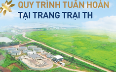 "Biến chất thải thành vàng" tại Cụm trang trại bò sữa quy mô hàng đầu thế giới