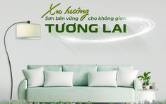 Xu hướng sơn bền vững cho không gian tương lai