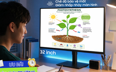Phụ huynh đề cao tiêu chí gì khi chọn màn hình máy tính cho con?