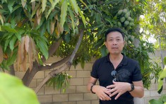 Thành quả của Vân Sơn tại Mỹ sau khi phá sản