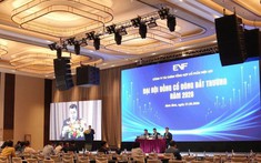 Một công ty tài chính mở rộng room ngoại, tìm kiếm cơ hội hợp tác quốc tế