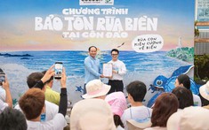 Một nhãn mỹ phẩm chọn cách bảo vệ rùa biển khác đi