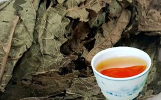 5 điều cần bỏ ngay khi uống lá đu đủ