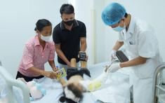 Cánh tay của bé gái 4 tuổi bị đứt rời sau tai nạn áo chống nắng cuốn vào bánh xe máy được nối lại thành công: BS cảnh báo sai lầm của nhiều cha mẹ