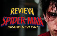 MCU và Sony đã đưa quyết định dũng cảm nhất cho Tom Holland: Đưa Nhện Nhí trở lại mặt đất.