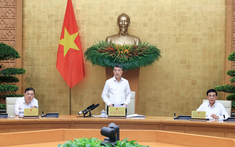 Phiên họp Chính phủ thường kỳ tháng 7: Xuất nhập khẩu ước đạt 659,6 tỷ USD, tăng 28,1%