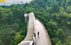 Một Singapore rất khác qua những con đường “bí mật” men theo triền đồi xanh