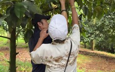 Mảnh đất của Hoài Linh khiến Chế Linh choáng ngợp: "Sống ở đây, cuộc đời tôi sẽ kéo dài đến 160 tuổi"